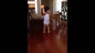 Playing Fetch