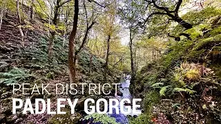 Solo walk in the peaks: Padley gorge and owler tor