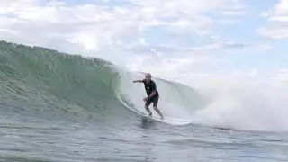 Tempest - Driftwood Mini Mal