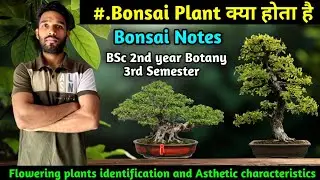 What is Bonsai | BSc 2nd year Botany 3rd Sem |Flowering Plant Identification and Aesthetic character