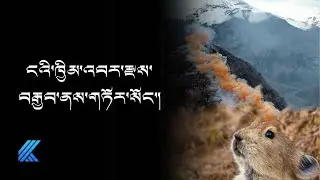 ངའི་ཁྱིམ་འབར་རྫས་བརྒྱབ་ནས་གཏོར་སོང་། ༼འདོན་ཐེངས་ ༡༤༢༽