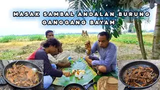 Berburu Burung Ganggang Bayam di Sawah || Langsung Masak di Tempat bareng @bangliu75