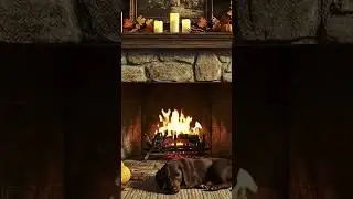 Sleep-inducing fireplace sound🔥 #fireplace #relaxingambience #relaxing #relaxingvideos #like