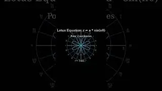 Equation Of Lotus maths Shorts 💓 #lotus #graphs #viralvideo #mathsbeauty