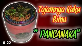 Review GELASAN PANCANAKA MATOT 0.22 || Setajam Kuku Bima