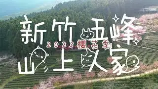 Keep Our Dreams Alive - Angus Thomas Nicholson丨新竹五峰丨山上人家森林農場丨2023櫻花季丨空拍丨Mini3Pro