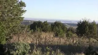 Colorado Elk and Deer Hunting Trailer (Giants down)