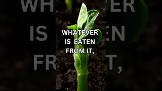 WHEN YOU PLANT A TREE | CHARITY | MOTIVATIONAL ( #shorts #motivation )