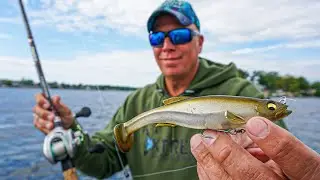 My Dad DESTROYS Fish Throwing MegaBass MAGDRAFT - 6inch SwimBait