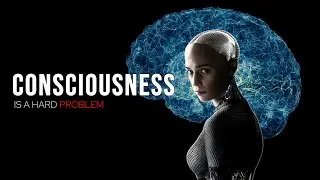 Why Consciousness Still Has No Scientific Answer