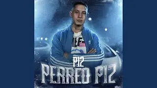 Perreo P12