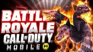 +15 kills win *COD: Mobile Battle Royale*