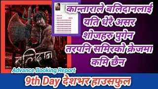 समिरको क्रेज देशभर हाउसफुल / Balidan 9th Day Box Office Collection | Samir Bhatta 