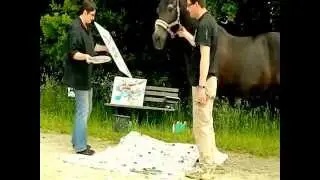 Das malende Pferd Mozart