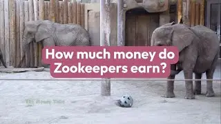 How to Become a Zookeepers - How much money they make?
