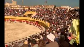Renata Maron apresenta s&eacute;rie especial 
