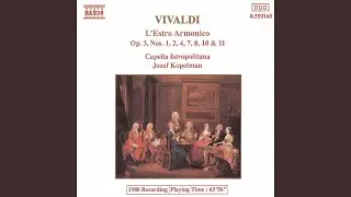 IV. Allegro