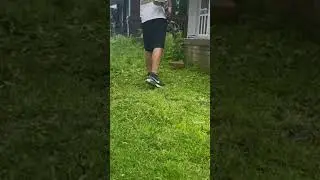 Check out the Full Video Now! #yardwork #lawncare #yardmakeover