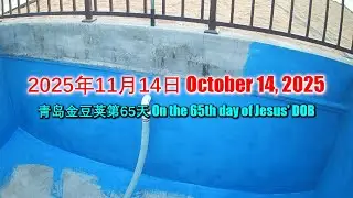 PyraPOD with iAVs in Qingdao (65): Day 15 after PyraPOD Pentecost