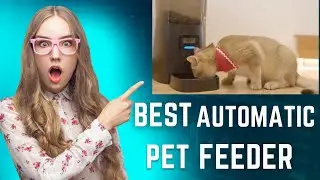 PETLIBRO Automatic Cat Feeder 6L Auto Pet Cat Dry Food Dispenser with Clog Free Design