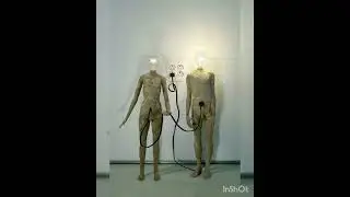 Quirky Lamps & Bulbs