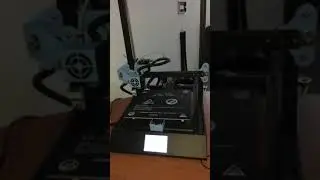 IMG 3735