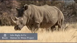 John Rigby & Co. Habitat for Rhino Project