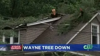 Fast Moving Storm Downs Trees In Delaware County