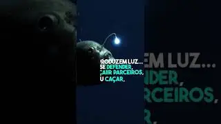 Animal Curiosity: Why do some animals glow? #curiosities