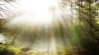 First Is Last (Lovely Piano music, Melodic, Soft keys, Healing Music For The Soul) Listen And Feel
