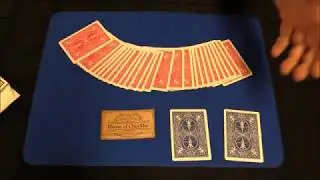 New Wave Brainwave Deck - Magic Card Trick - Bicycle