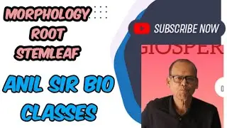 MORPHOLOGY -12th class #Nodes #Internodes #Terminal bud#Tap root