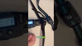 I Reviewed the Bousnic 2‑Dog Training Collar &mdash; Long Range, Humane, and Waterproof?