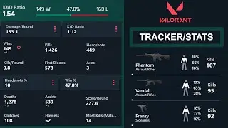 Check Valorant Statistics