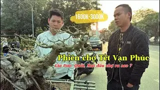 VẮNG VẺ Chợ Tết Vạn Phúc. Lượng người mua sắm chưa đông, BÁO GIÁ một số sản phẩm | Quảng Tùng