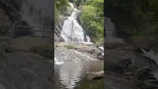 Monkey Falls Waterfalls,Valparai #waterfall #monkeyfalls #ooty  #valparai #shorts #viralshorts