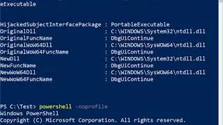 Automating the Process of Hijacking Digital Signature Verification