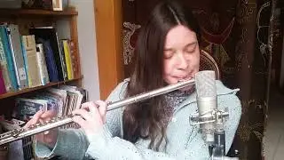 ✨ Heuliad Gavotenn 🎼 Flute ✨ Breton Music