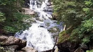Rieslochf&auml;lle