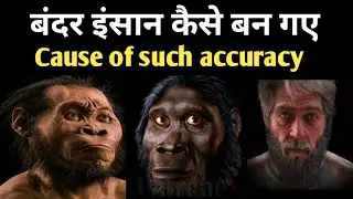Theory of evolution in hindi | How Human evolved | why monkeys are not evolving | Charles Darwin