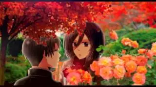 【Levi x Mikasa / Attack on Titan】In Love ❤