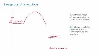 Reaction energy diagrams review | Reaction rates | meriSTEM