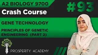 Principles of Genetic Engineering (Part 2) | Gene Technology | 9700 A2 Biology Urdu/Hindi