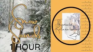 Snowstorm Escape ❄️ | 1 Hour of Cozy Snow Sounds for Deep Relaxation