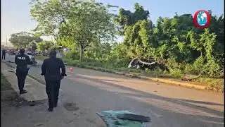 Man dies in single-vehicle crash in St Elizabeth