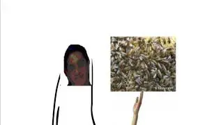 The BEES of Cameron Mann