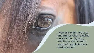 Equine-Assisted Therapy for Addiction Treatment  |  Covenant Hills Treatment Center