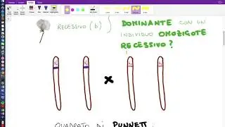 Ereditariet&agrave; dei caratteri genetici: parte I