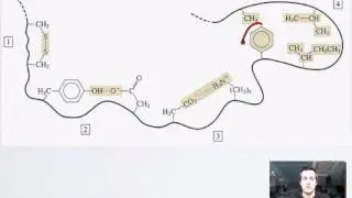 4 Tertiary Structure