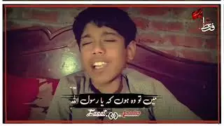 roi jab ladli muhammad ki sara darbar muskuraya hai|| zawar ali